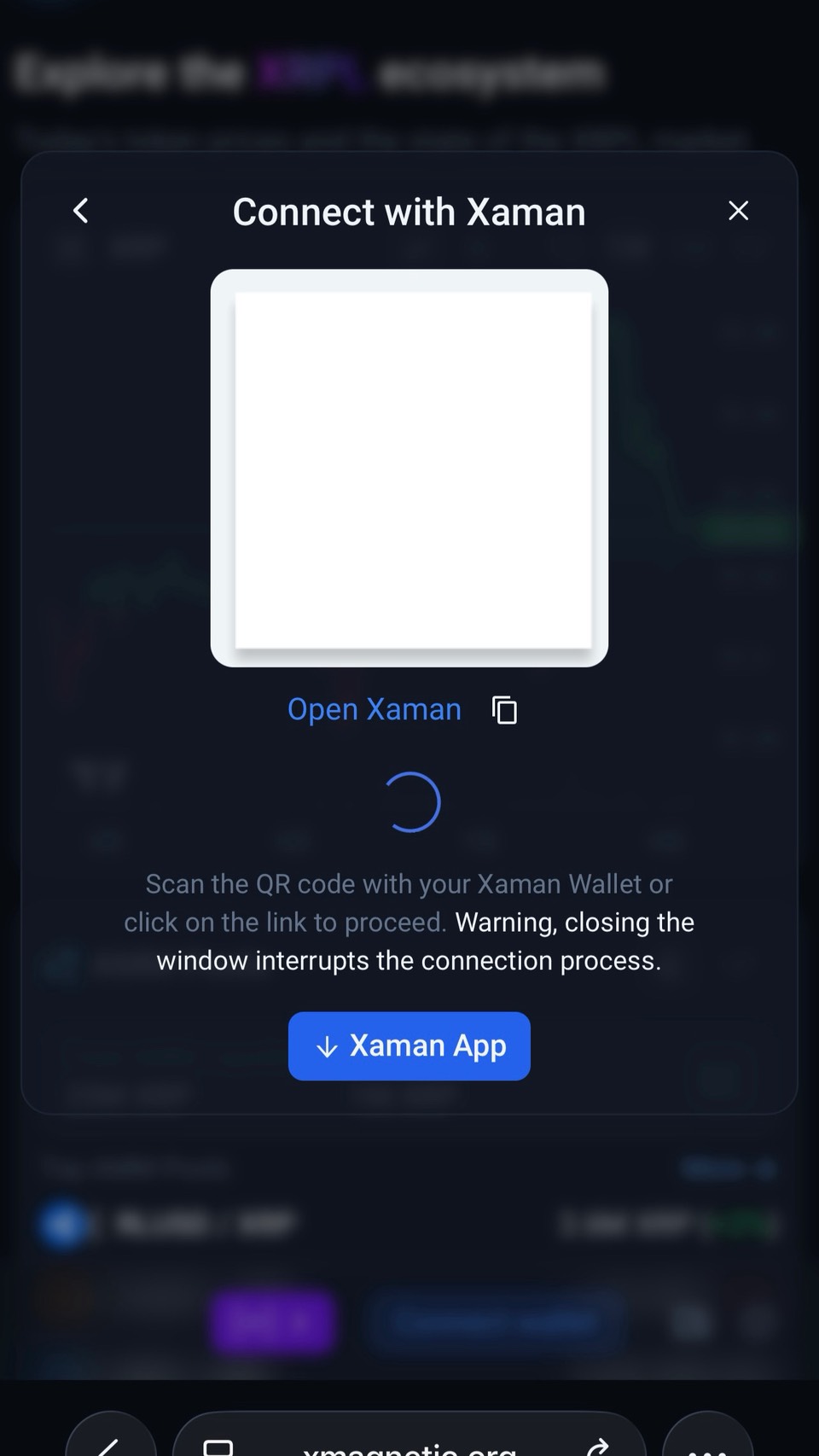 QRコード・Open Xaman画面
